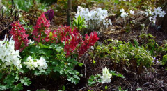Frühling