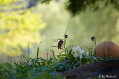 Im Garten träumen 2 rechteckig