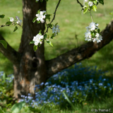 Aprilfarben 7