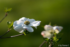 Aprilfarben 5