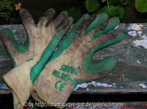 Morbide handschoentjes