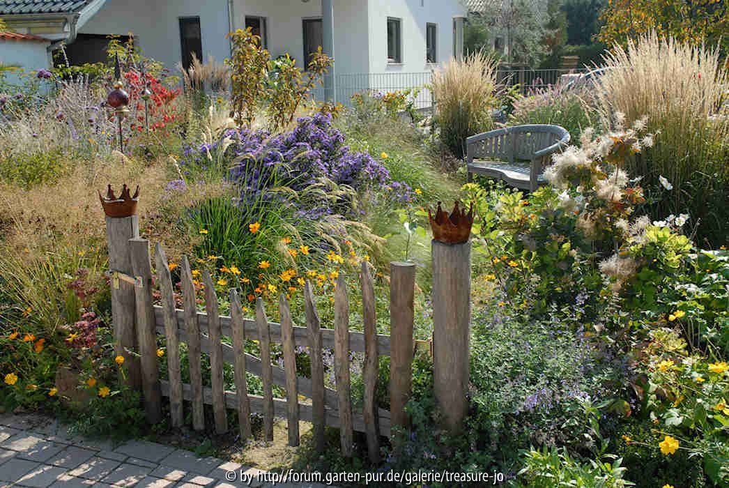 Herbstgarten mit Calamagrostis