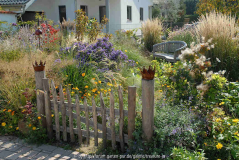Herbstgarten mit Calamagrostis