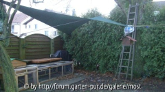 Garten 2.jpg