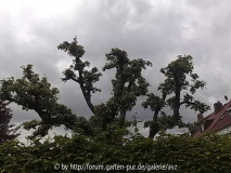 18052010099.jpg