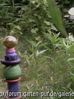 Säule im wilden Rosengarten