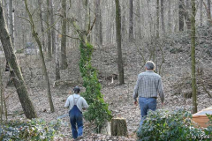 WaldIMG_5484jpg.jpg