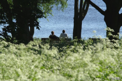 pause_wallanlagen.jpg