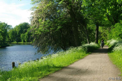 wallanlagen2.jpg
