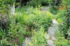 Gartenbilder Juni 01 1