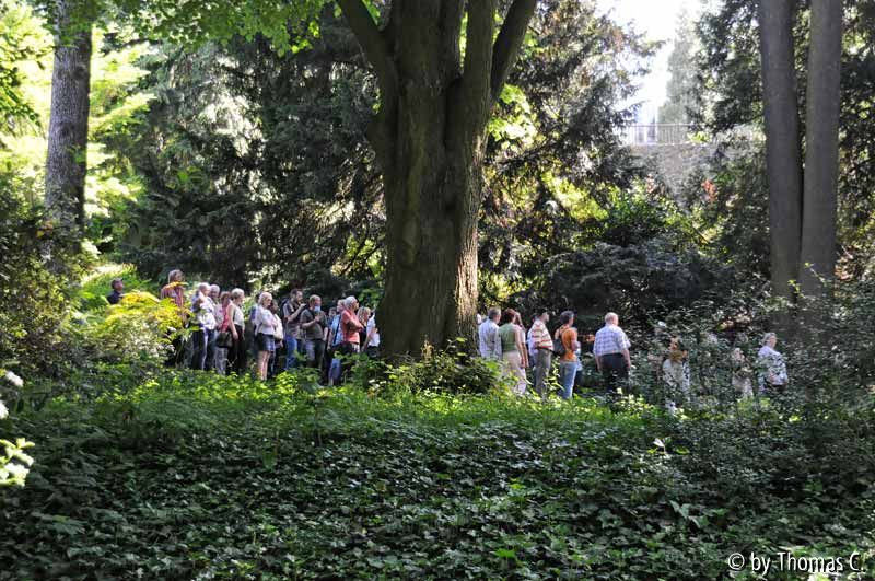 FT 2010 Härle alter Garten 1