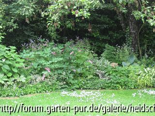 Unterm Apfelbaum Juni 2010