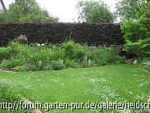 Staudenbeet Buchenhecke Juni 2010