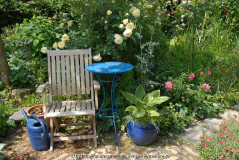 Blaue (Rosen-) Stunde