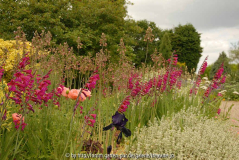 Gravelgarden Beth Chatto 1
