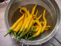 Chili Elefantenrüssel