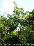 P1010358.JPG