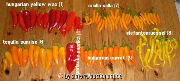 lecker chilis (600px)