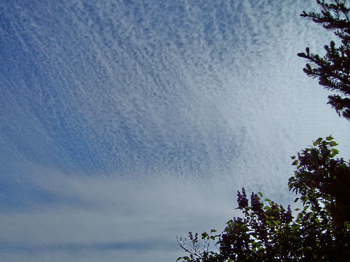 Wolken