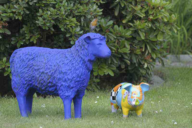 Blaues Schaf