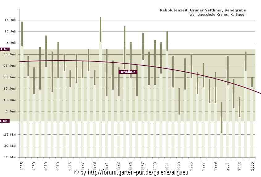Rebblüte der letzten Jahre