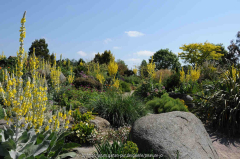 Dry Garden 3