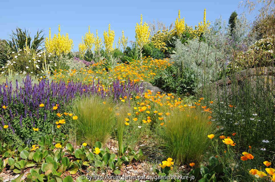 Dry Garden 4