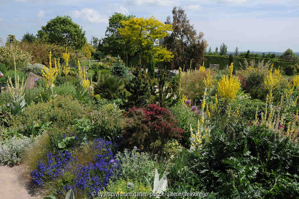 Dry Garden 6
