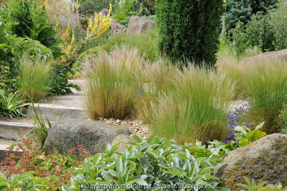 Dry Garden 7