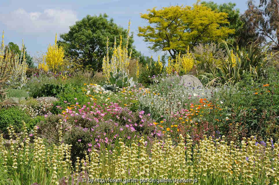Dry Garden 8