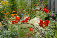 Garten M 2