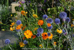 Garten M 4