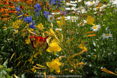 Garten M 5