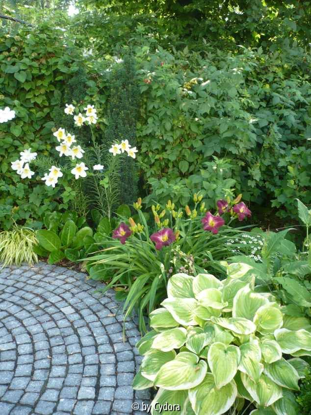Garten201007_5