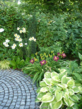 Garten201007_5