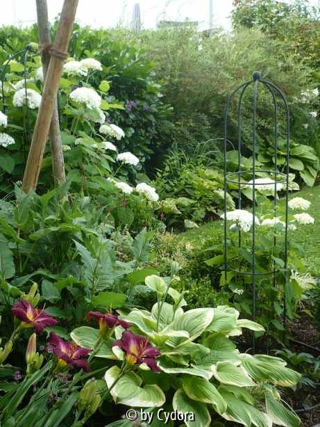 Garten201007_4