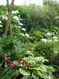 Garten201007_4