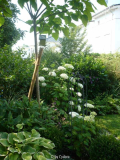 Garten201007_3