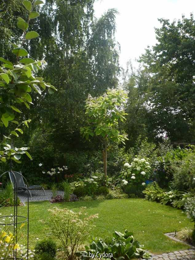 Garten201007_2