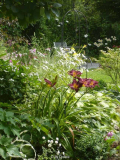 Garten201007_1