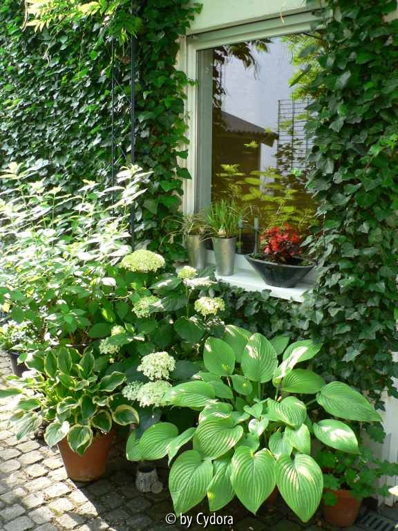 Nordseite3_20100630