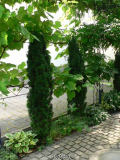 Nordseite2_20100630