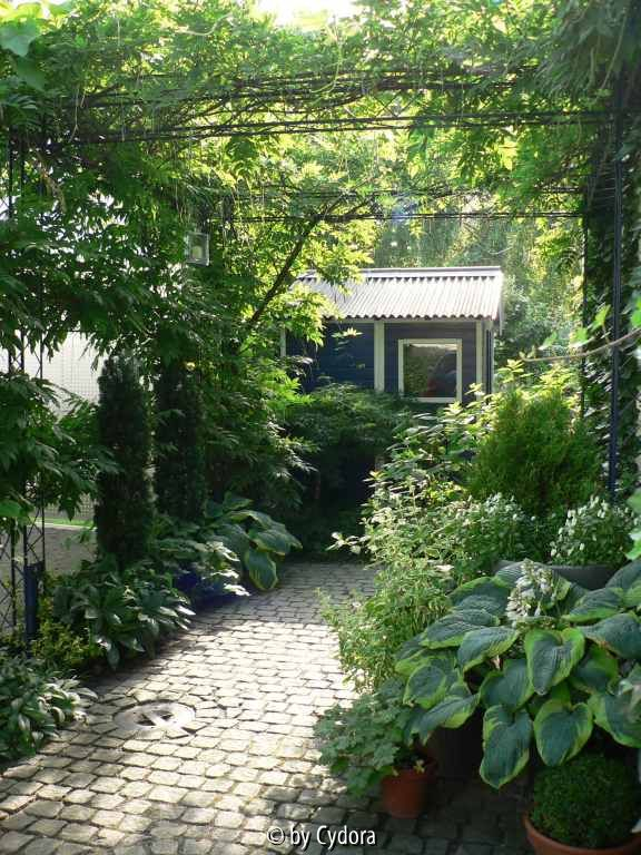 Nordseite1_20100630