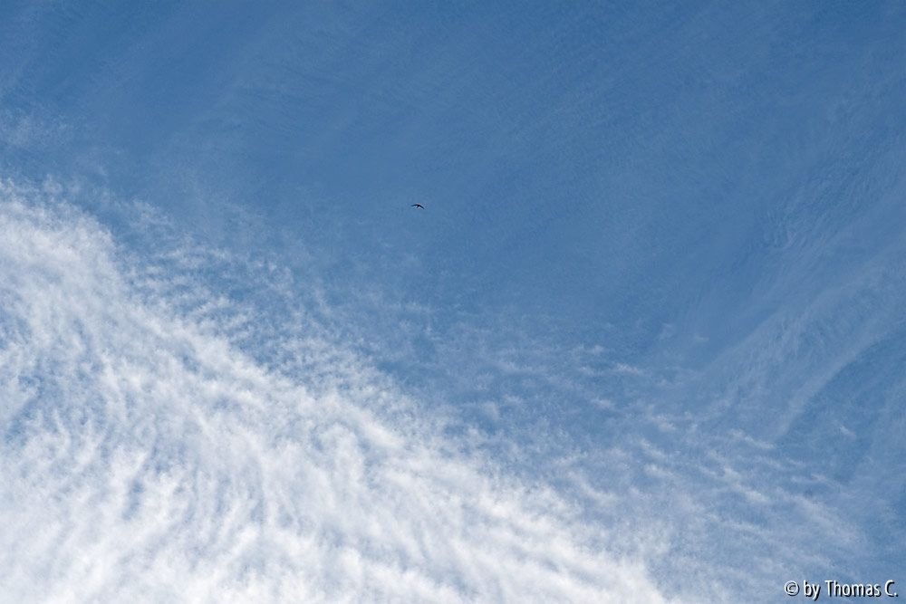 Sommerhimmel