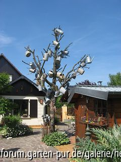 Geißkannenbaum Garten Marty Hoffmann, Dalheim Luxemburg
