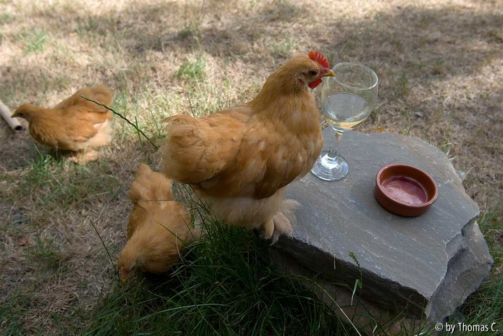 Abendlicher Ausflug: Gemeinsamer Drink