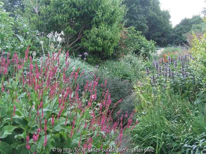 Durchblick 2010-07