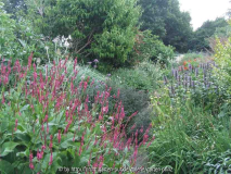 Durchblick 2010-07