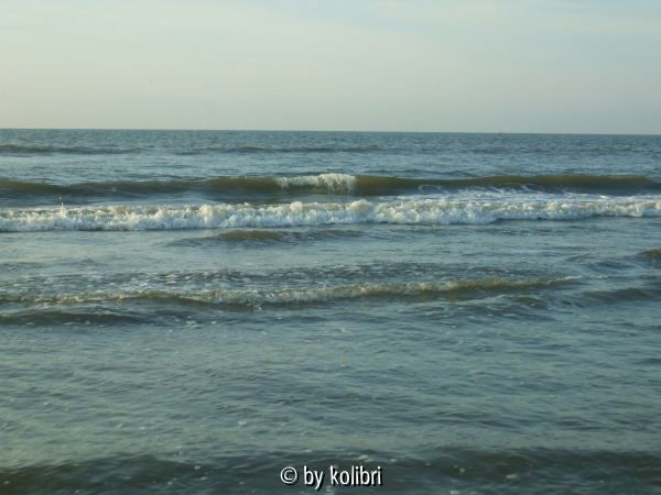 Die Nordsee