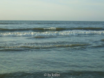 Die Nordsee